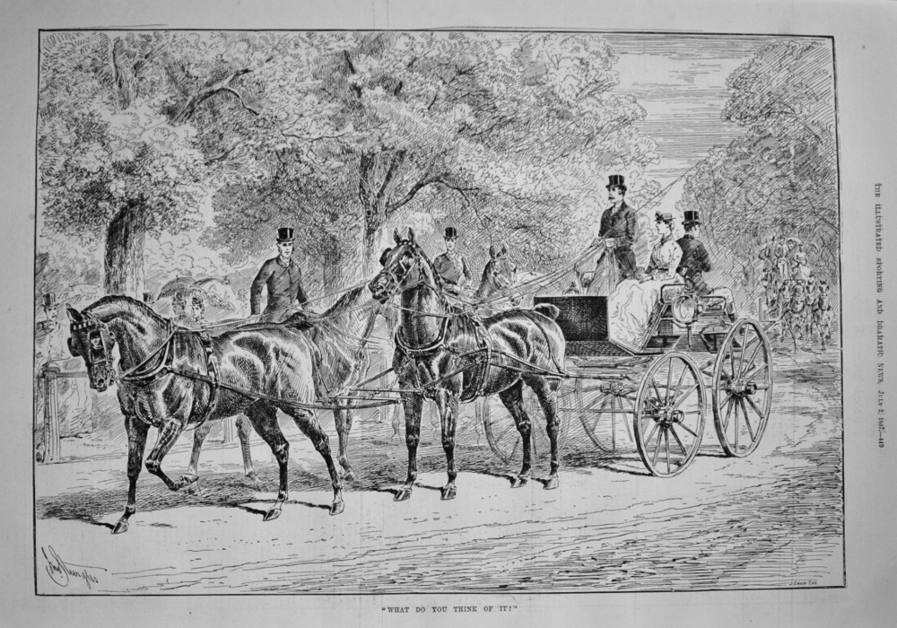 "What Do You Think Of It?" 1887