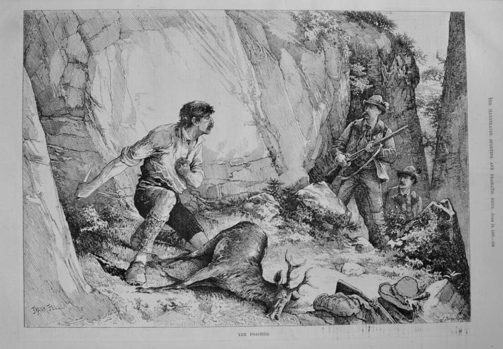 The Poacher. 1887
