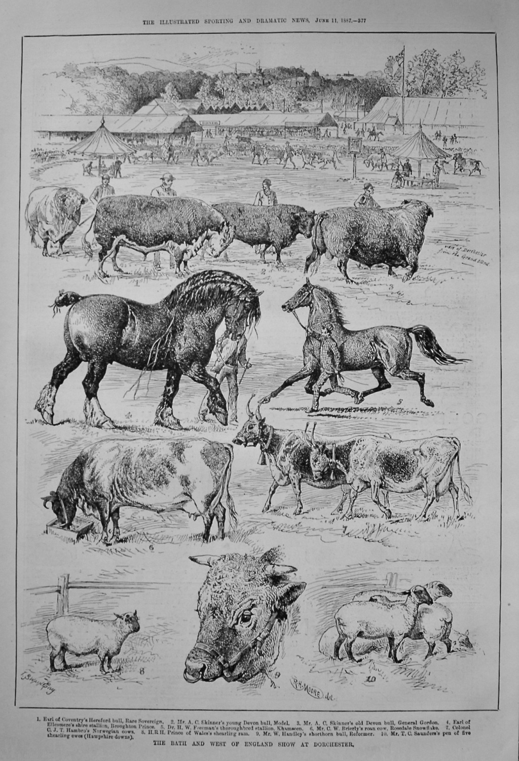 The Bath and West of England Show at Dorchester. 1887