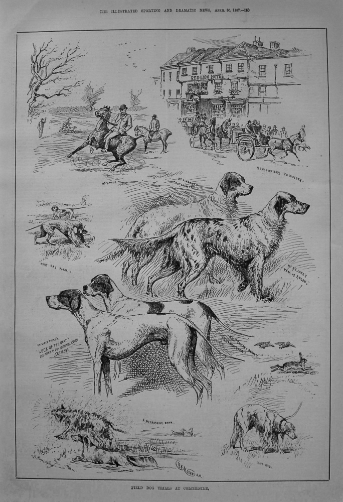 Field Dog Trials at Colchester. 1887