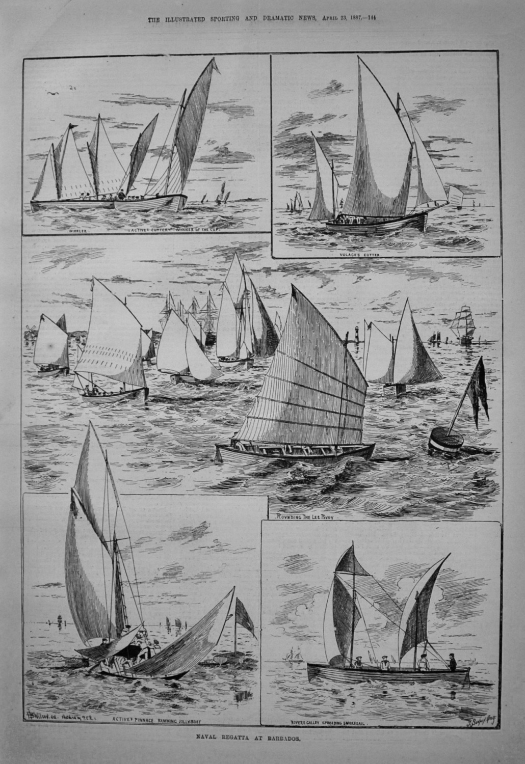 Naval Regatta at Barbados. 1887