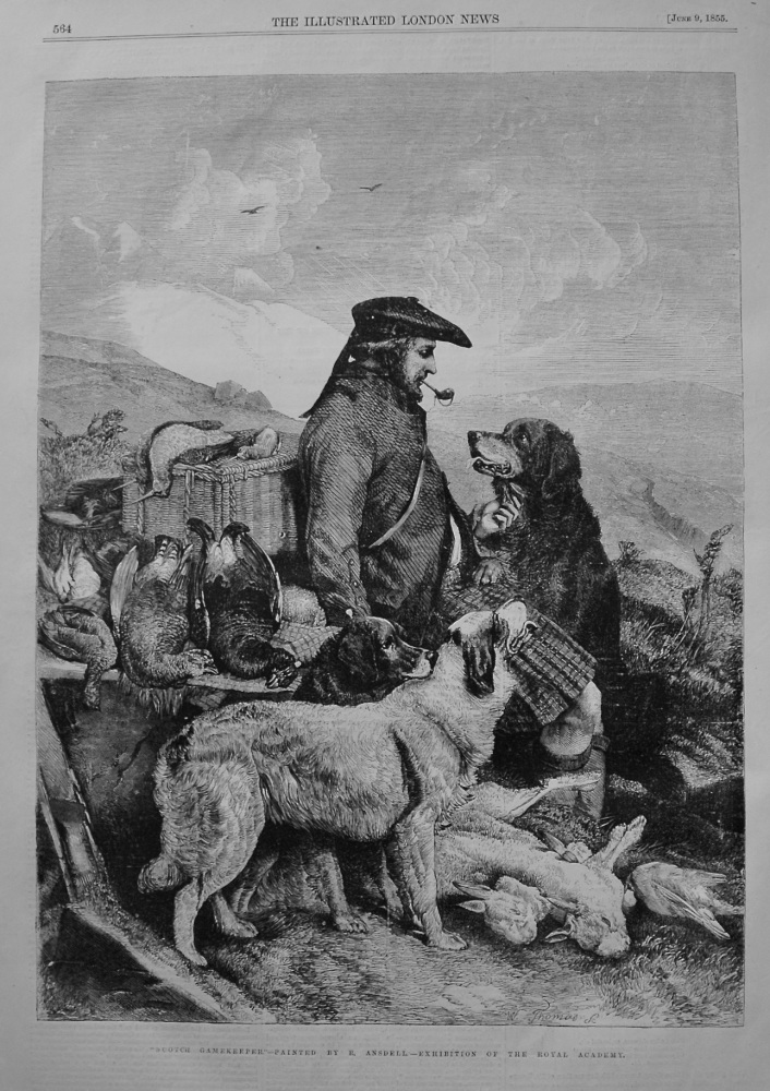 "Scotch Gamekeeper."-Painted by R. Ansdell.- Exhibition of the Royal Academy. 1855