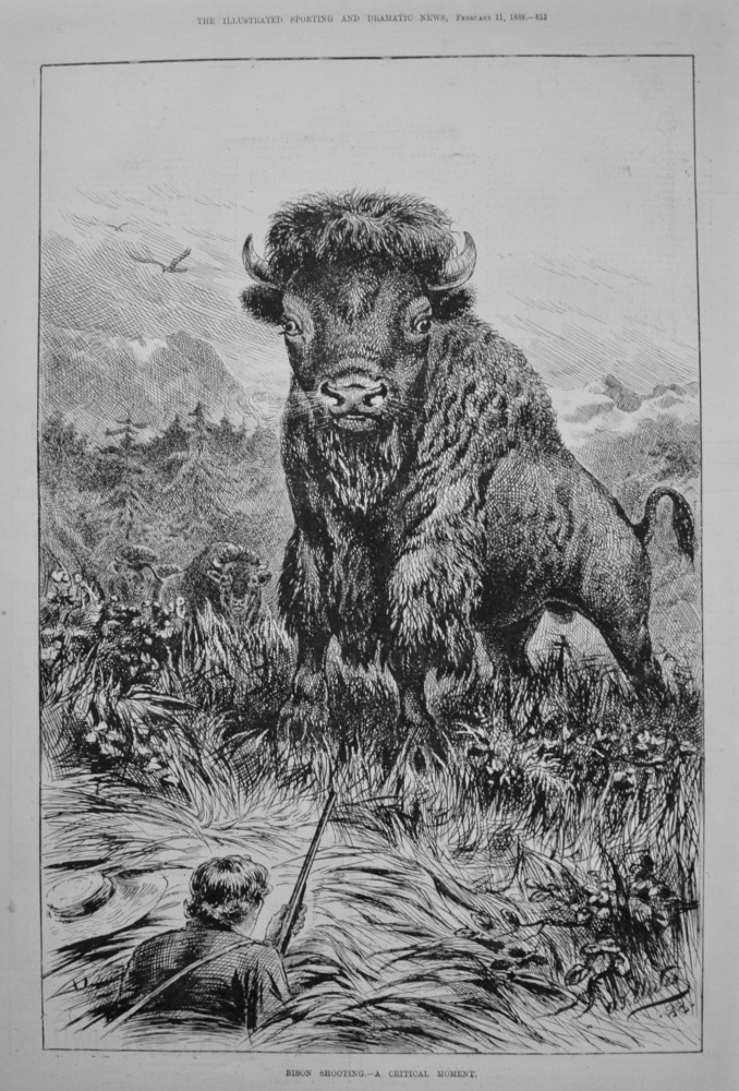 Bison Shooting.- A Critical Moment. 1888