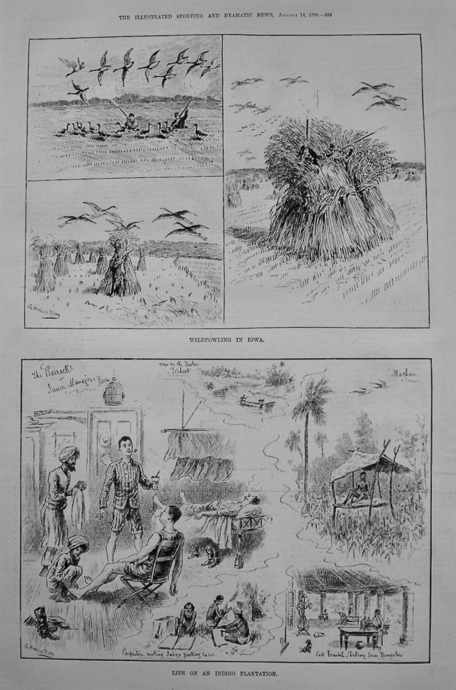 Life on an Indigo Plantation. 1888