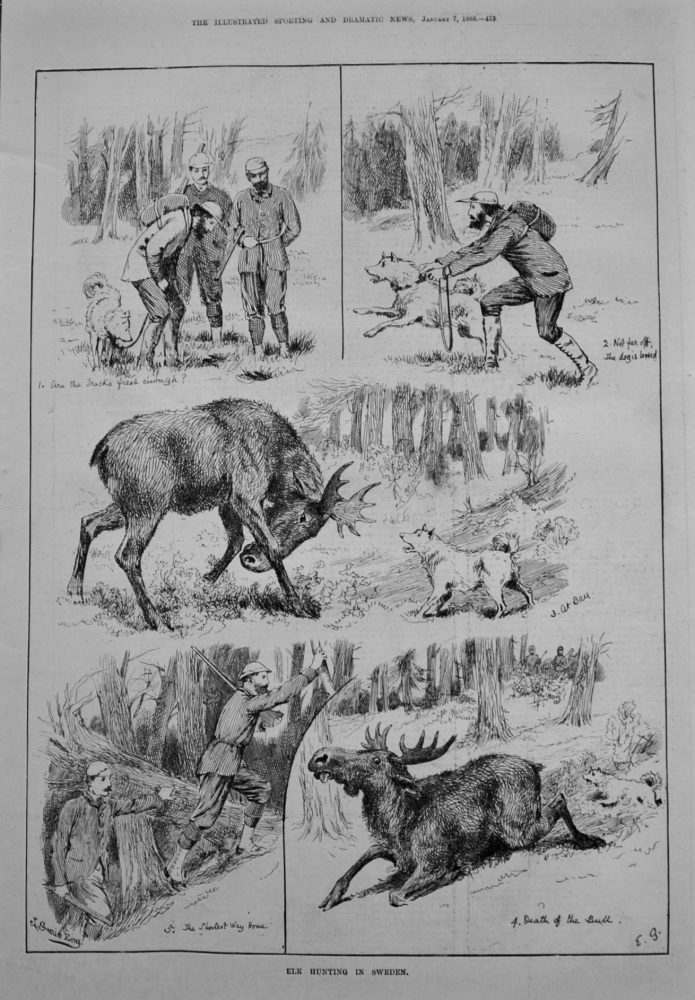 Elk Hunting in Sweden. 1888