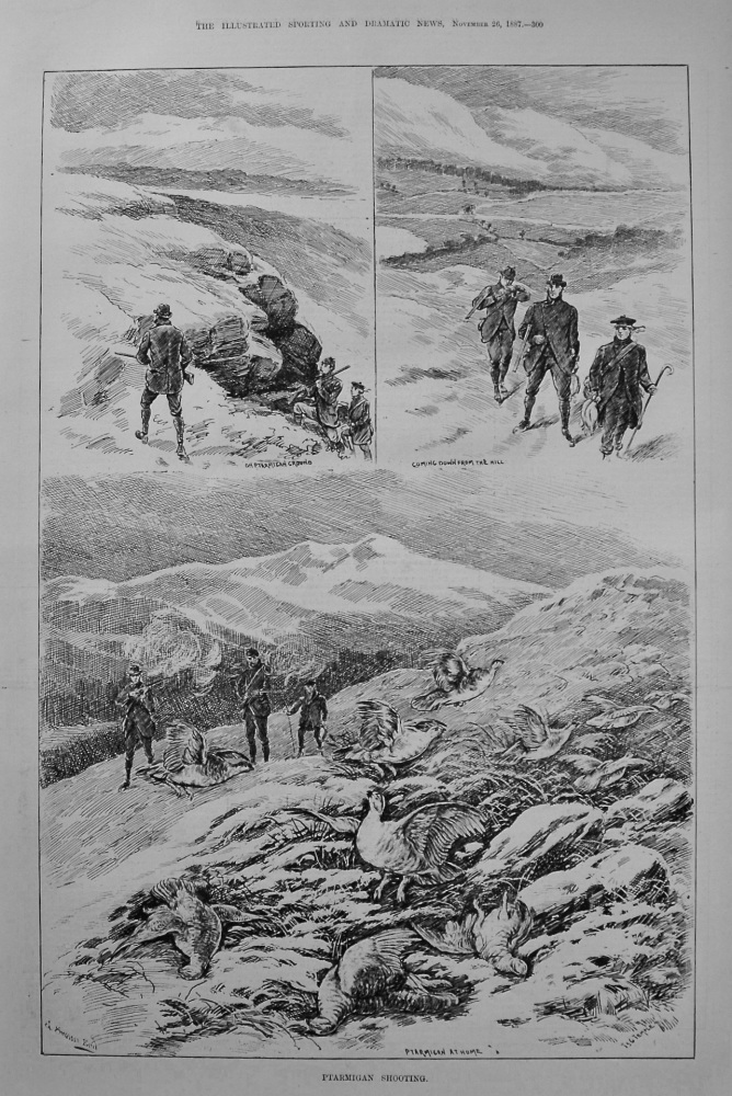 Ptarmigan Shooting. 1887