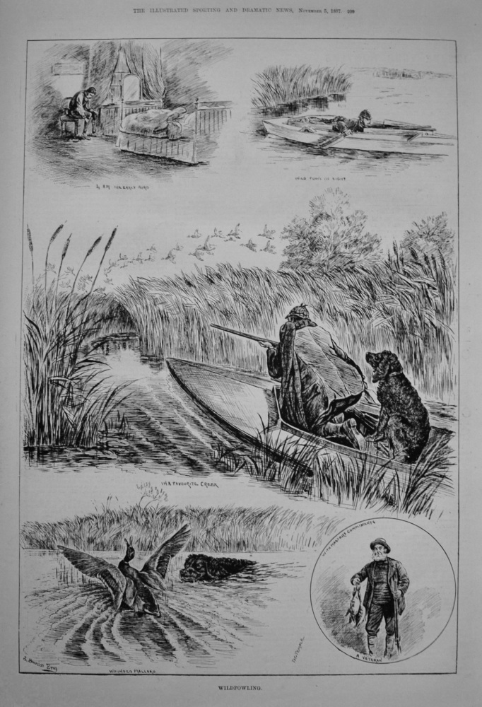 Wildfowling. 1887