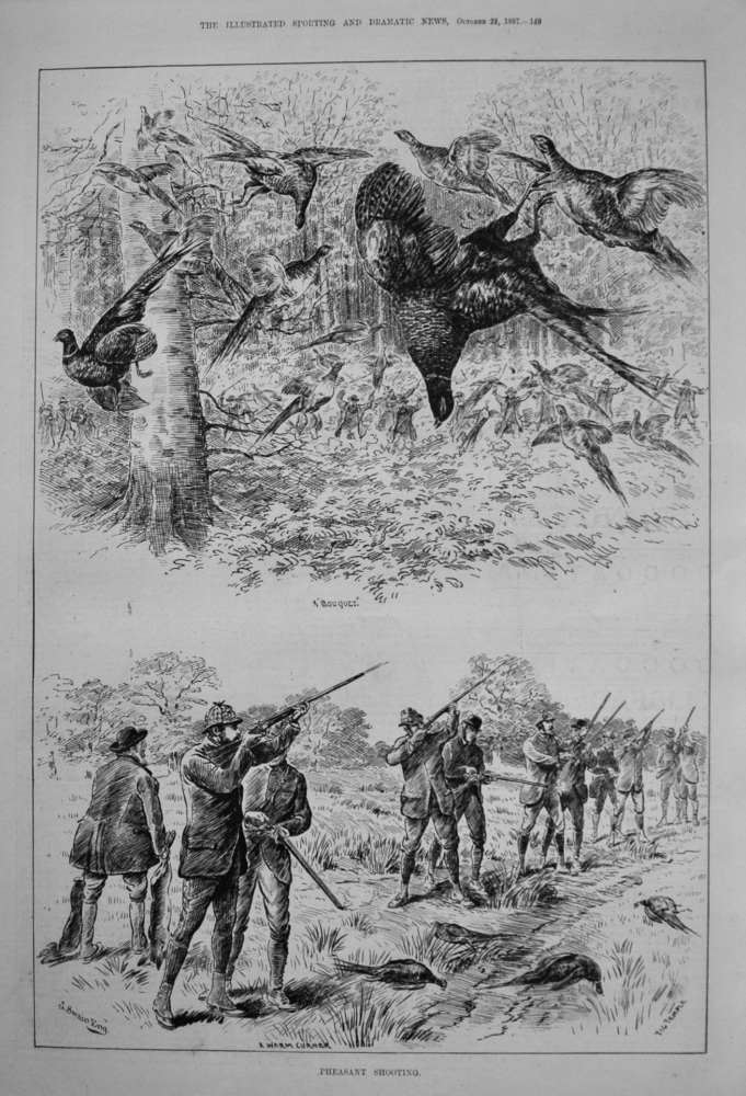 Pheasant Shooting. 1887