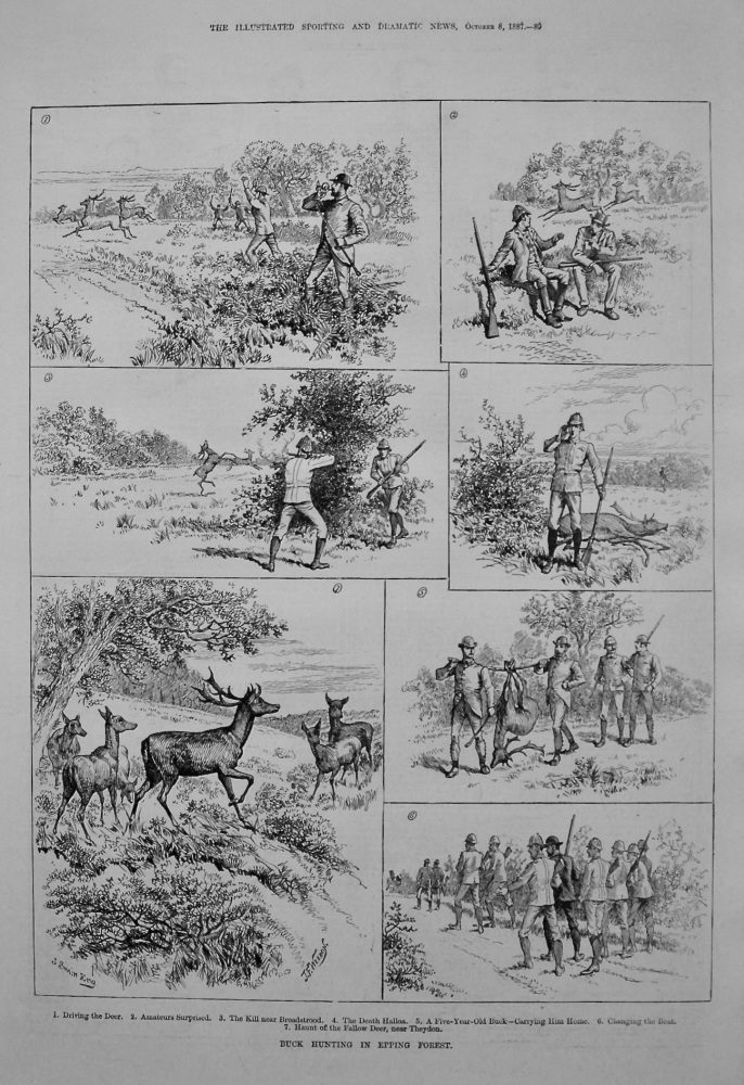 Buck Hunting in Epping Forest. 1887