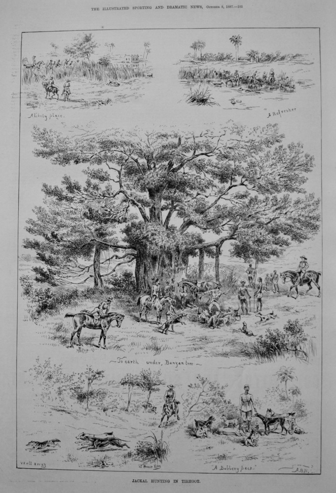Jackal Hunting in Tirhoot. 1887