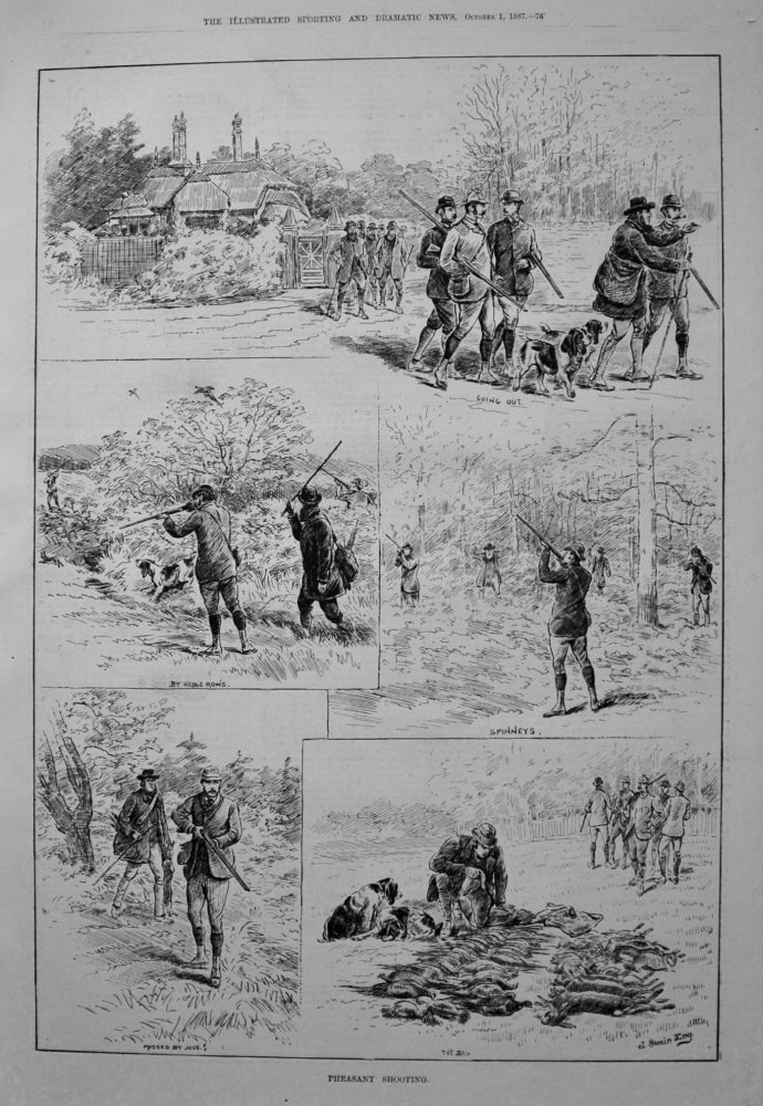 Pheasant Shooting. 1887