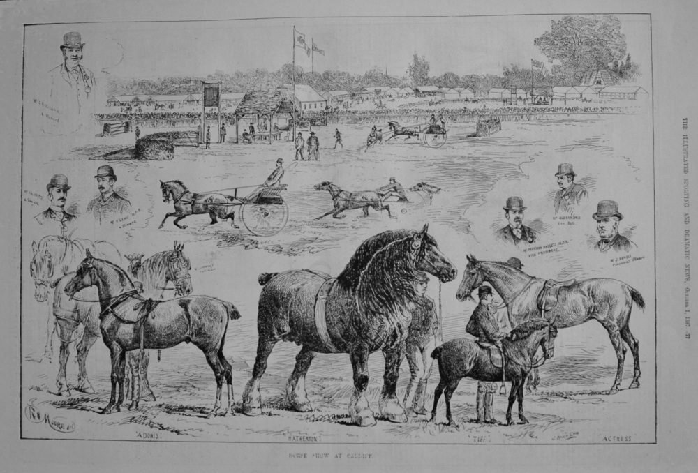Horse Show at Cardiff. 1887