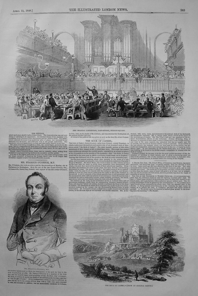 The Chartist Demonstration. 1848.
