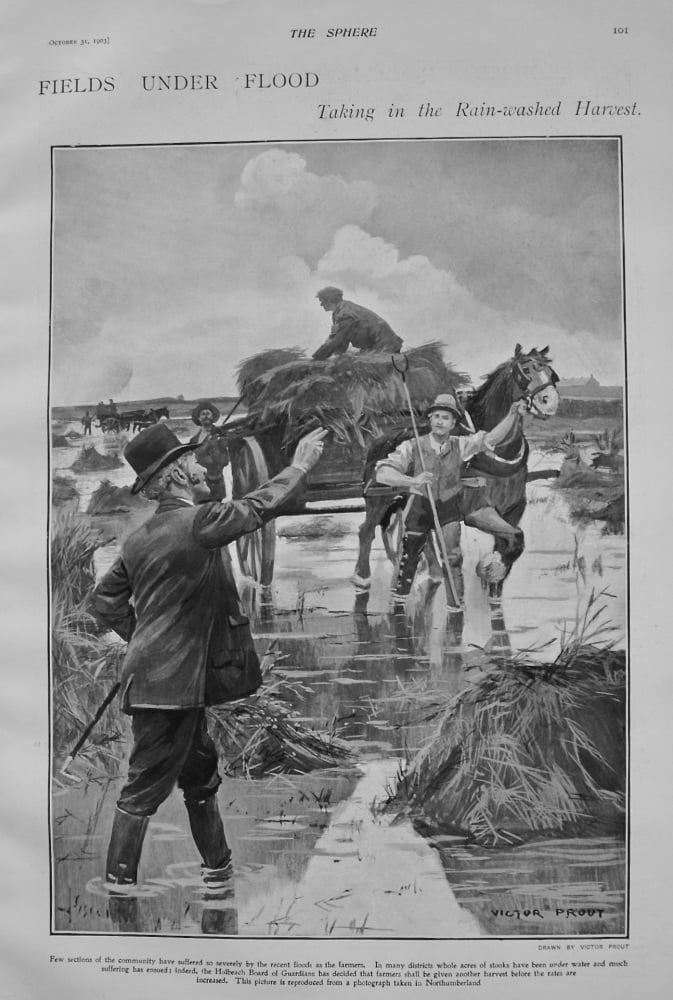 Fields Under Flood : Taking in the Rain-washed Harvest. 1903
