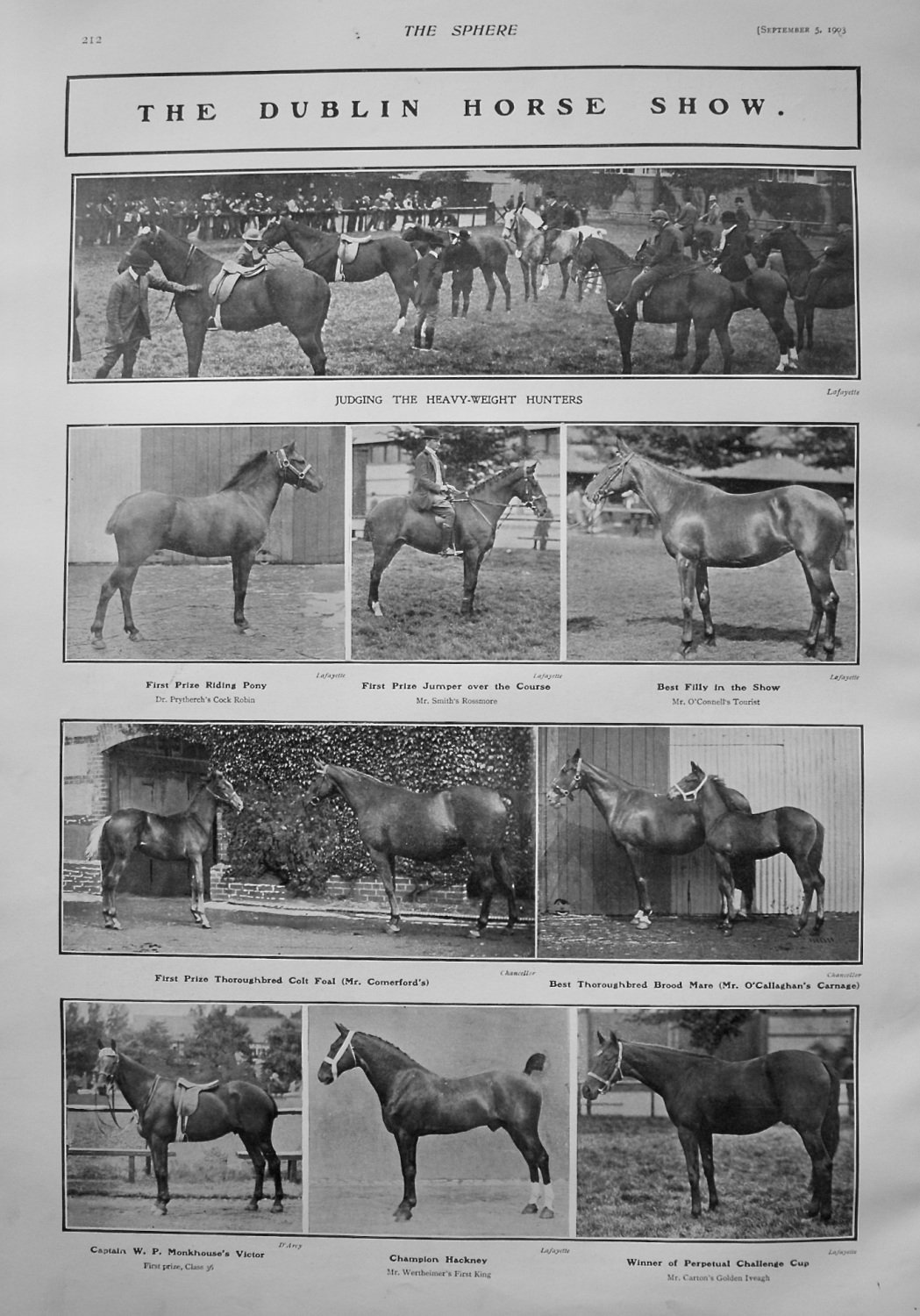 The Dublin Horse Show. 1903