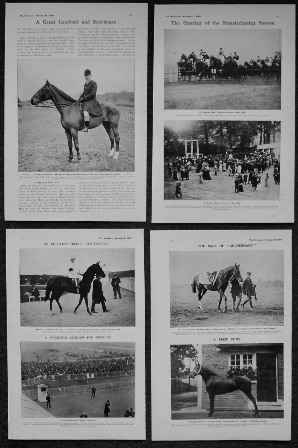 Horse Racing Photographs. 1905