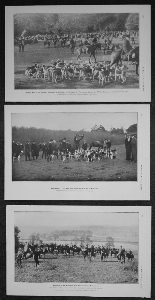 Hunting Photographs. 1905.