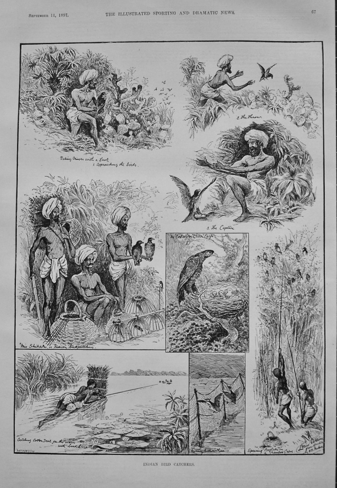 Indian Bird Catchers. 1897