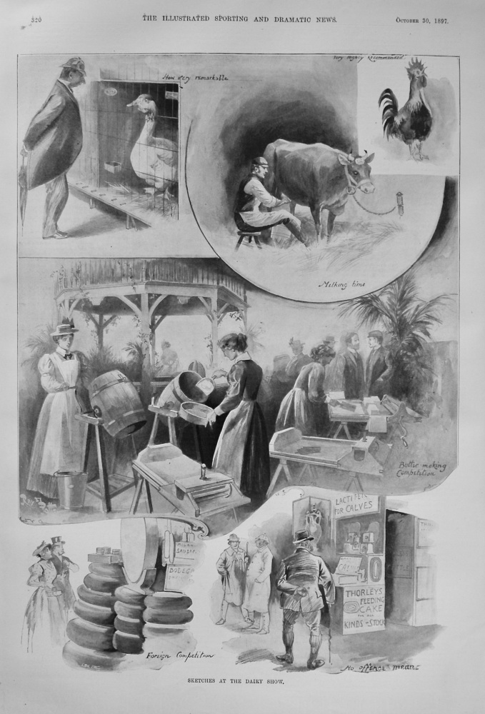 Sketches at the Dairy Show. 1897.