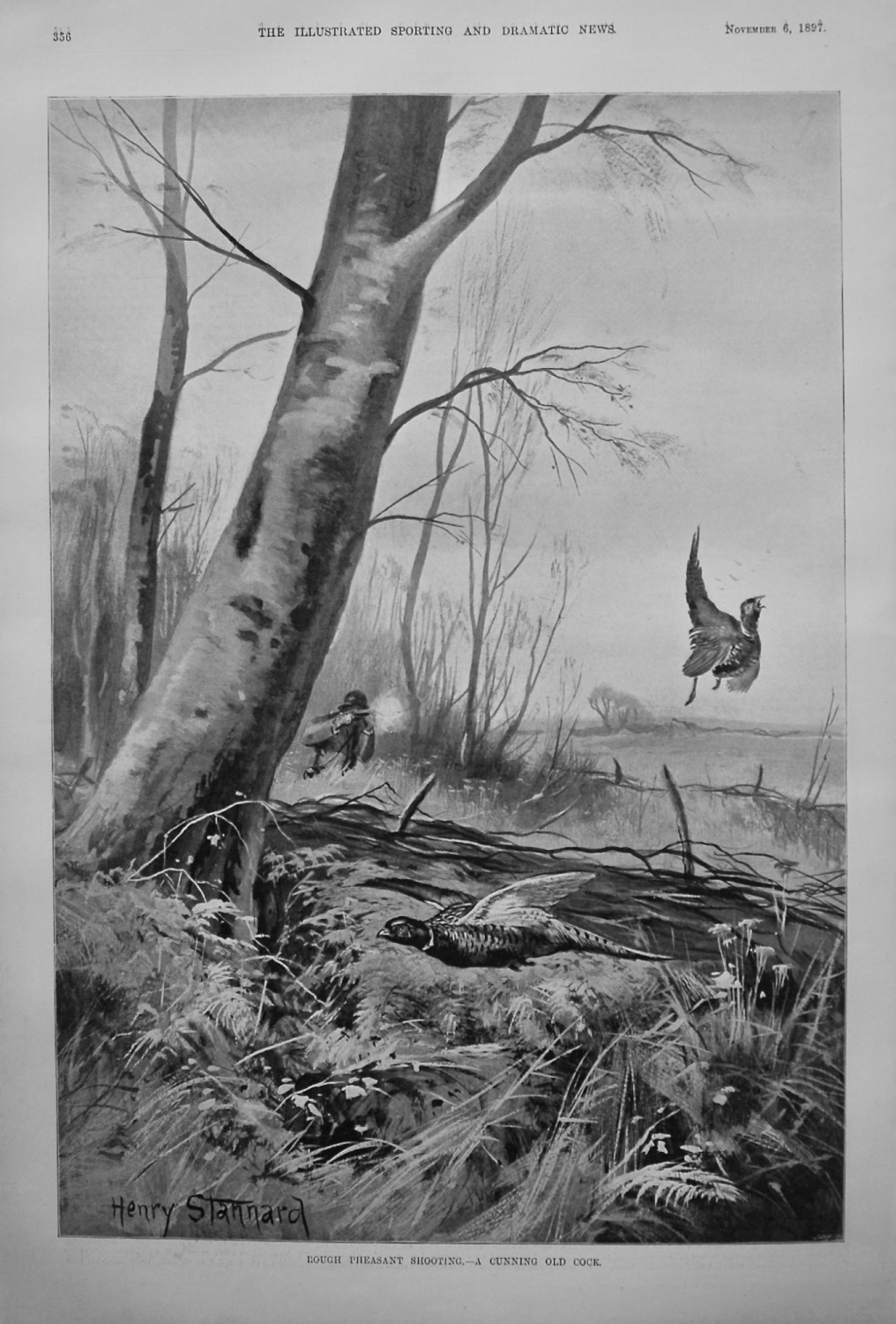 Rough Pheasant Shooting.- A Cunning Old Cock. 1897.