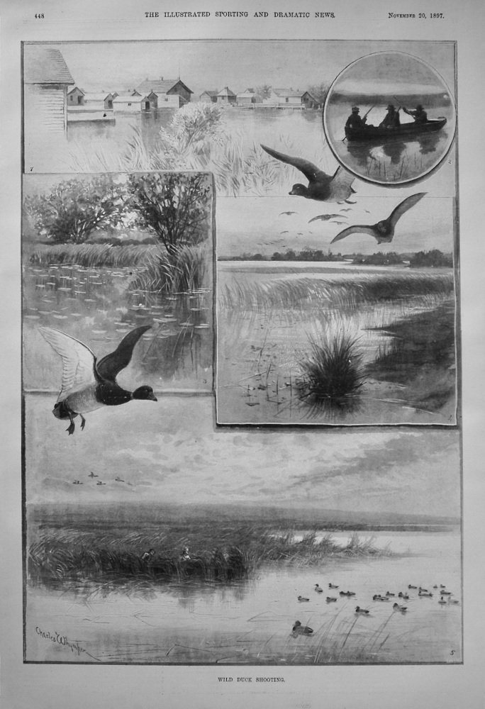 Wild Duck Shooting. 1897.