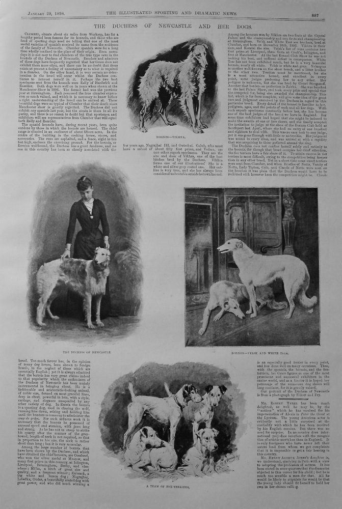 The Duchess of Newcastle and Her Dogs. 1898