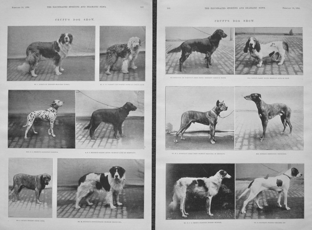 Cruft's Dog Show. 1898