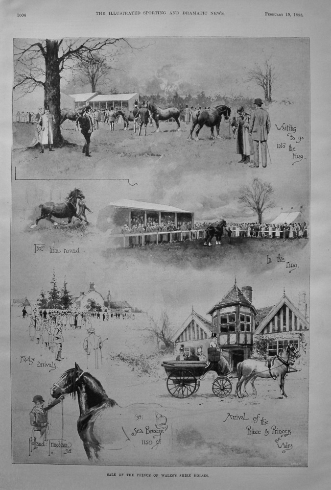 Sale of the Prince of Wales's Shire Horses. 1898
