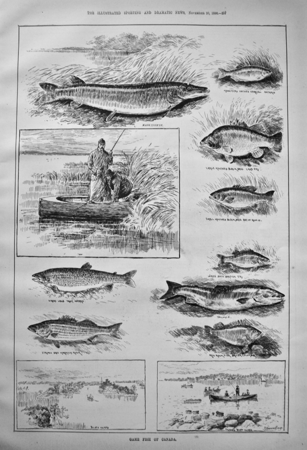 Game Fish of Canada. 1886