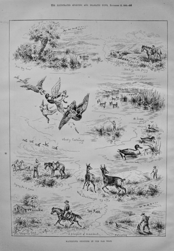 Waterfowl Shooting in the Far West. 1886
