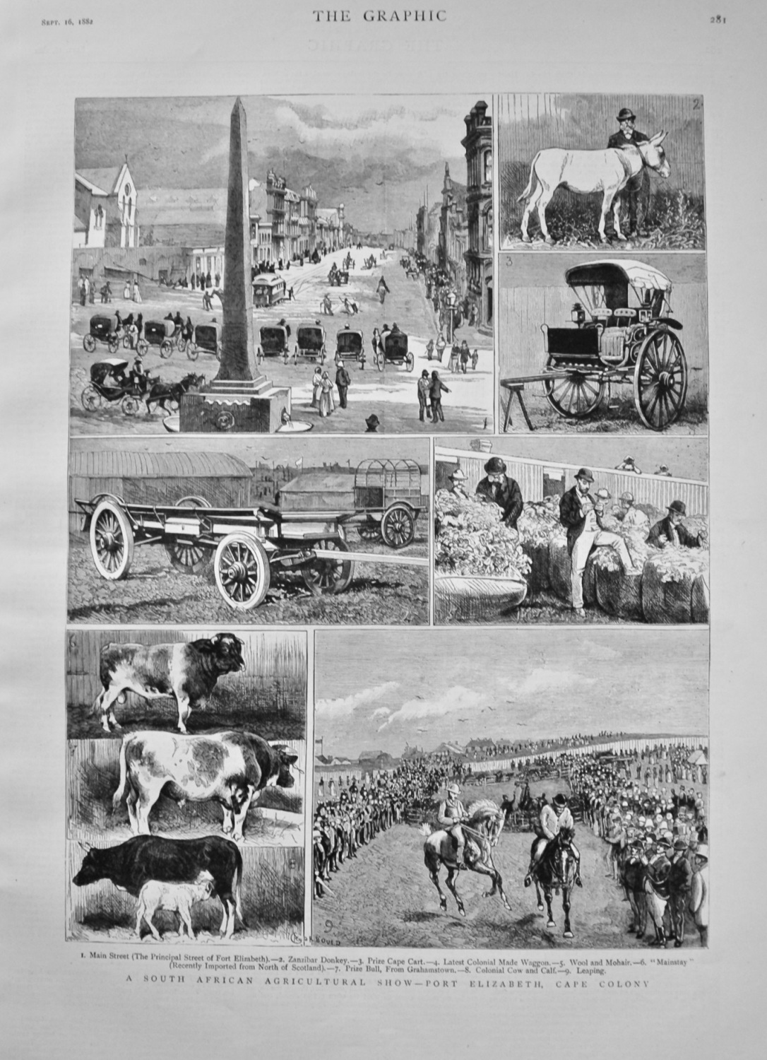 A South African Agricultural Show - Port Elizabeth, Cape Colony. 1882