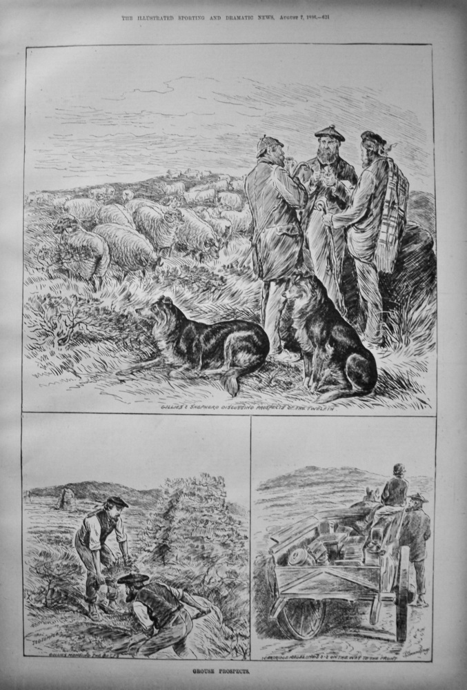 Grouse Prospects. 1886.