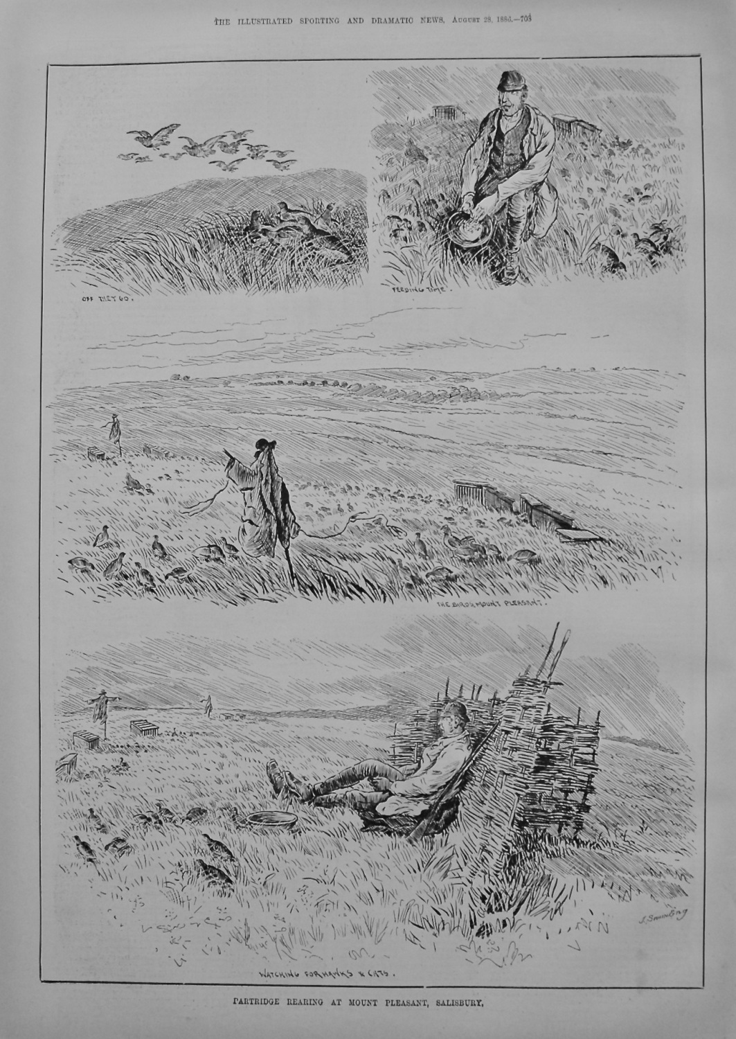 Partridge Rearing at Mount Pleasant, Salisbury. 1886