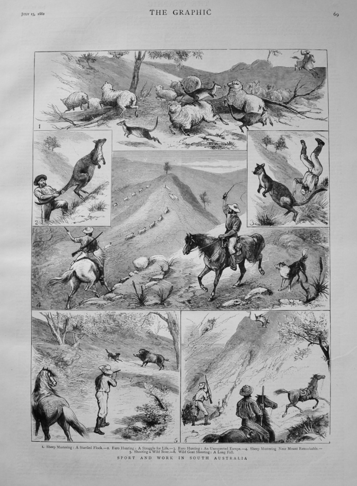 Sport and Work in South Australia. 1882
