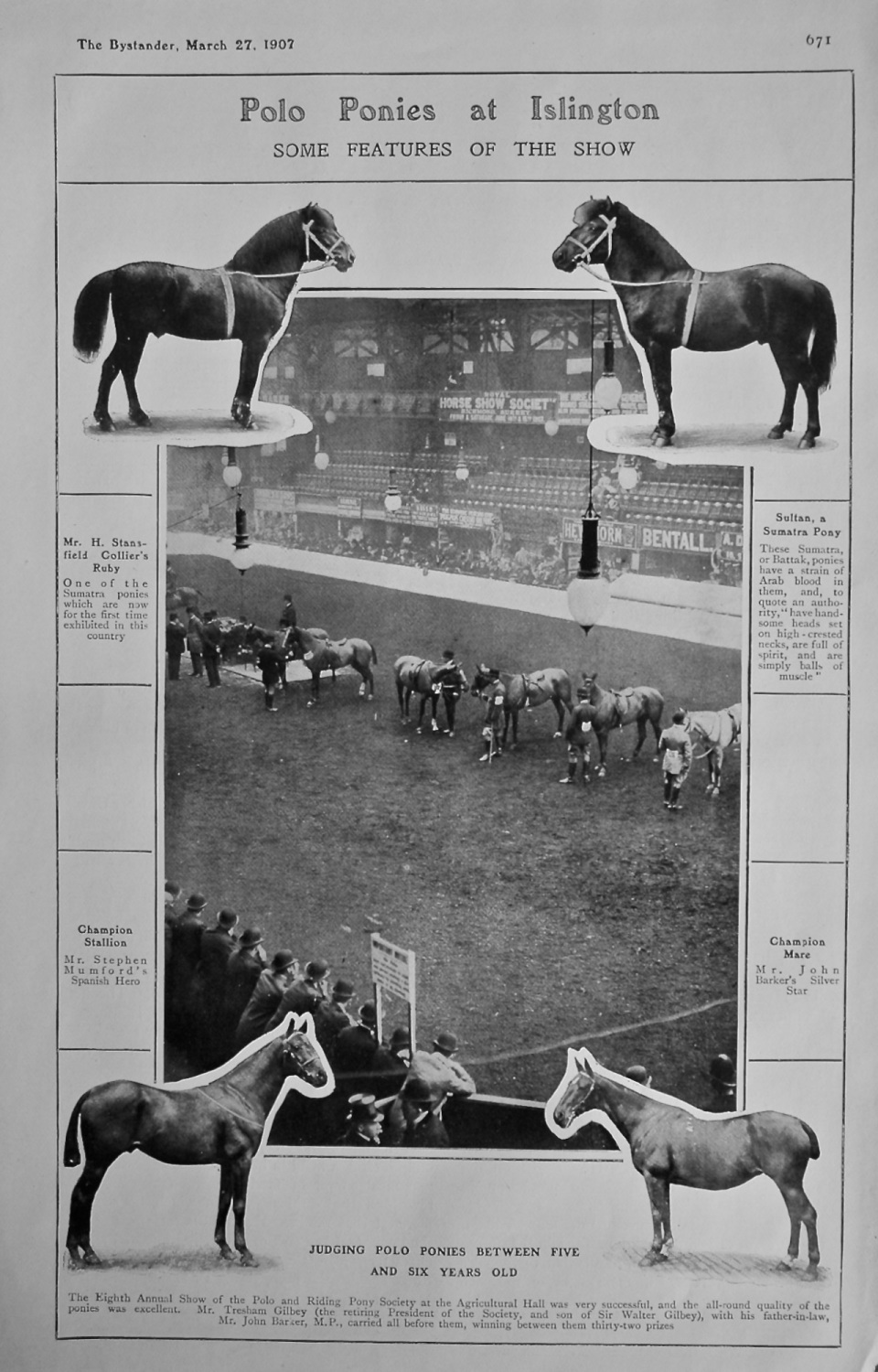 Polo Ponies at Islington : Some Features of the Show. 1907