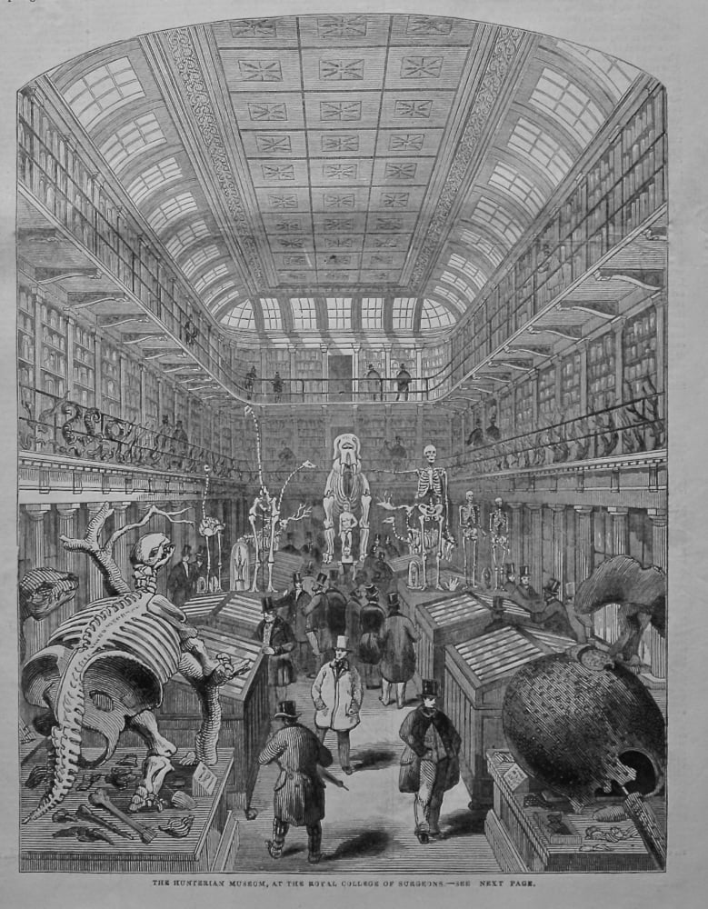 The Hunterian Museum, at the Royal College of Surgeons. 1845.