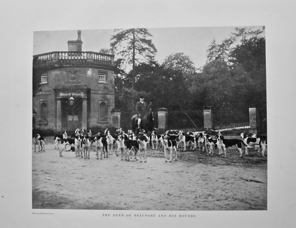 The Duke of Beaufort and His Hounds. 1908.