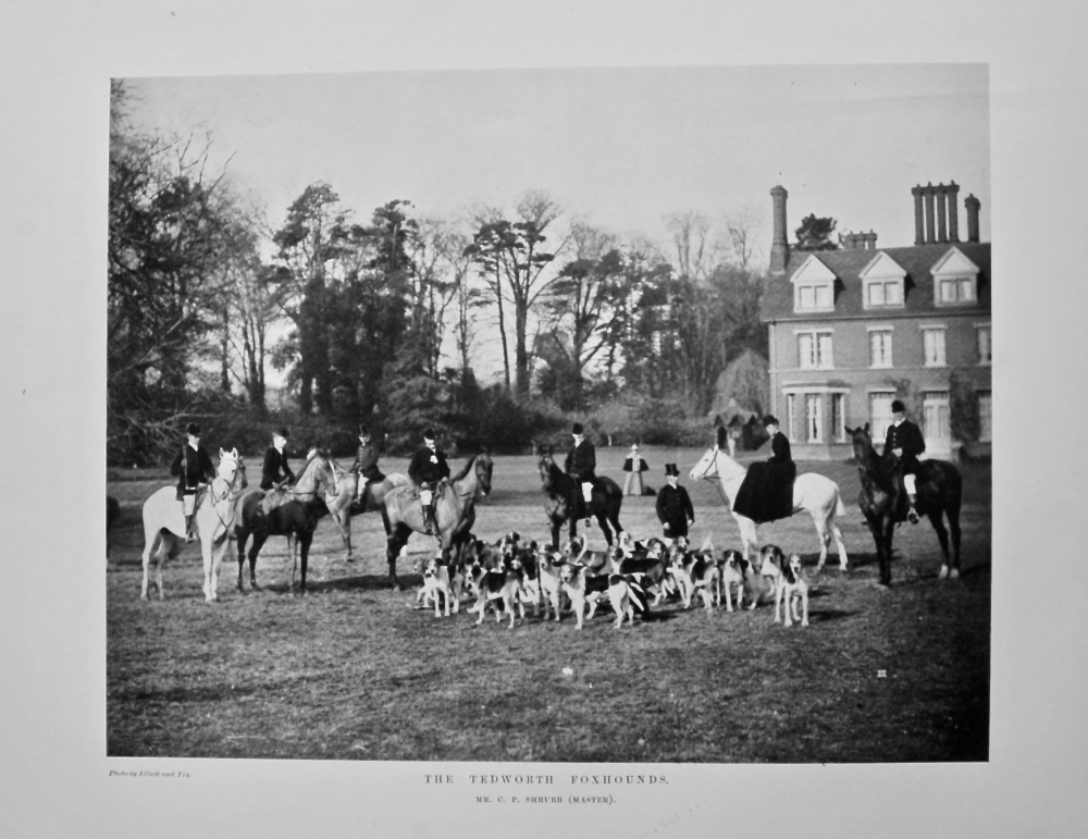 The Tedworth Foxhounds. 1908.