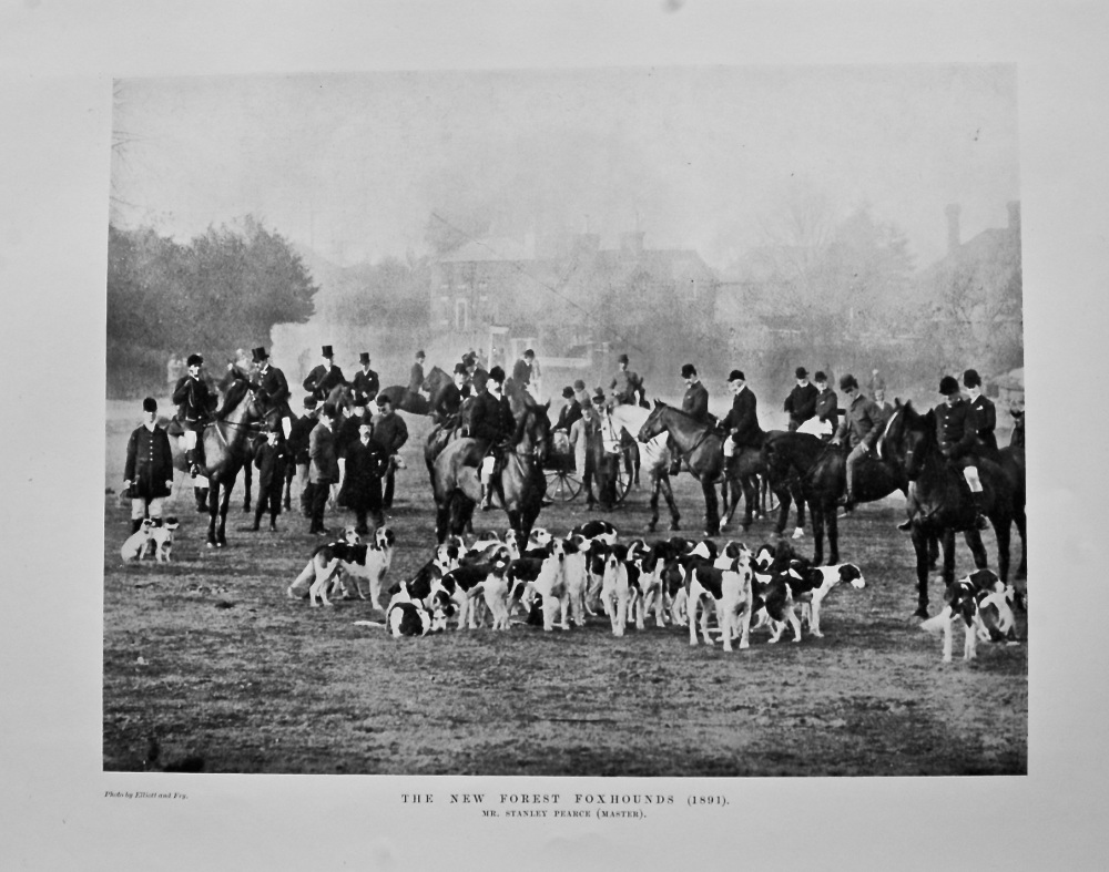 The New Forest Foxhounds (1891). Mr. Stanley Pearce (Master).