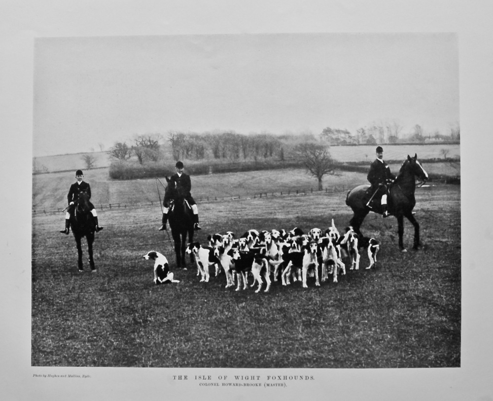 The Isle of Wight Foxhounds. Colonel Howard-Brooke (Master). 