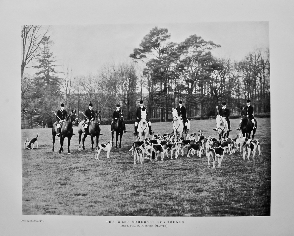 The West Somerset Foxhounds. Lieut.-Col. D. F. Boles (Master). 