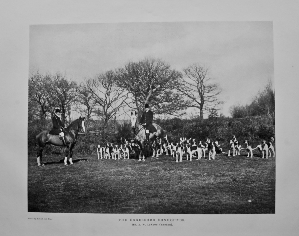 The Eggesford Foxhounds. Mr. A. W. Luxton (Master). 1908.