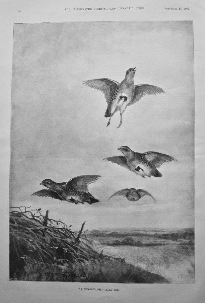 "A Towered Bird - Mark Him!." 1897.