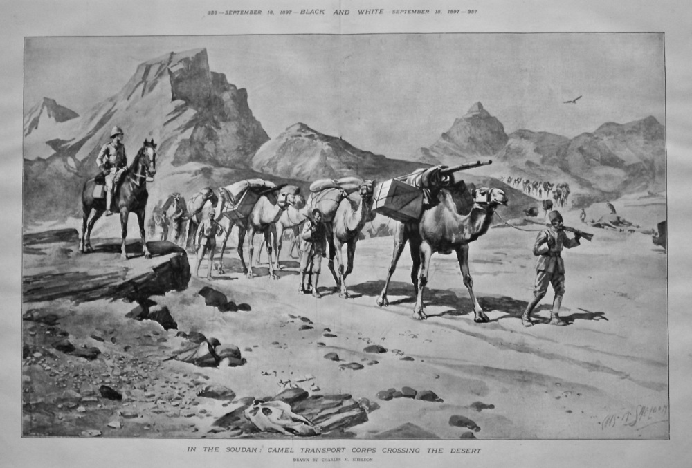 In The Soudan : Camel Transport Corps Crossing The Desert. 1897.