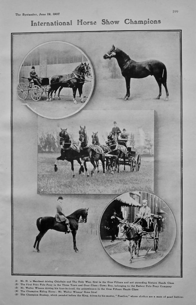 International Horse Show Champions. 1907.