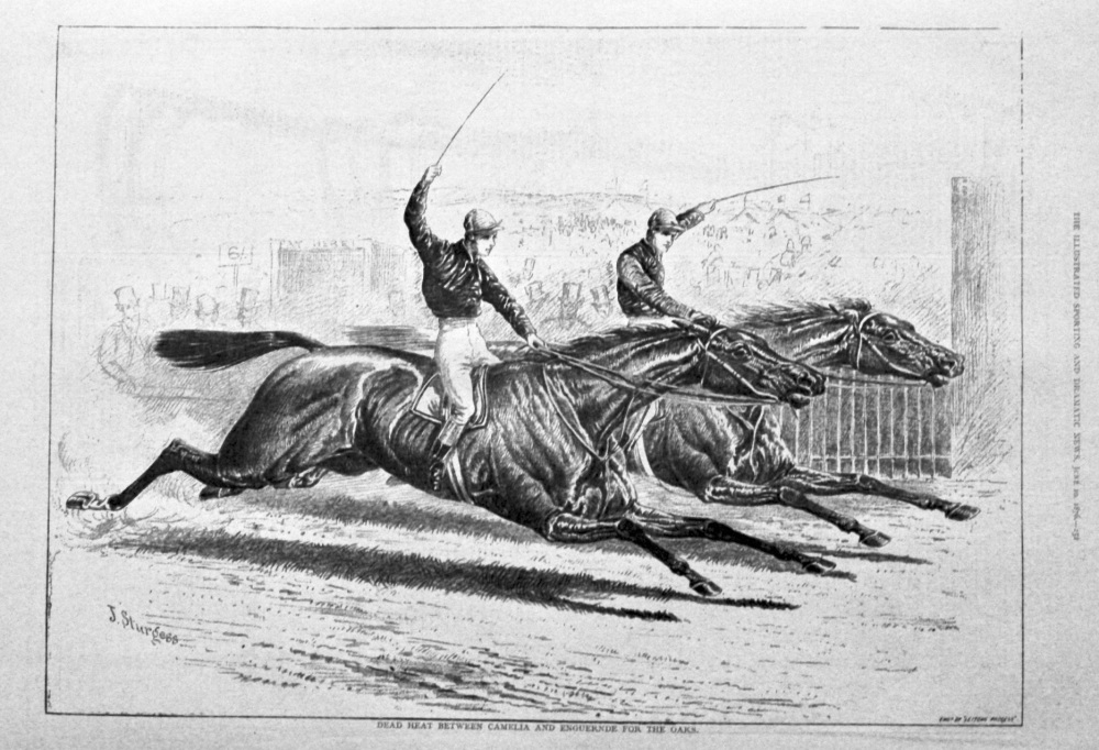 Dead Heat Between Camelia and Enguernde for the Oaks. 1876.