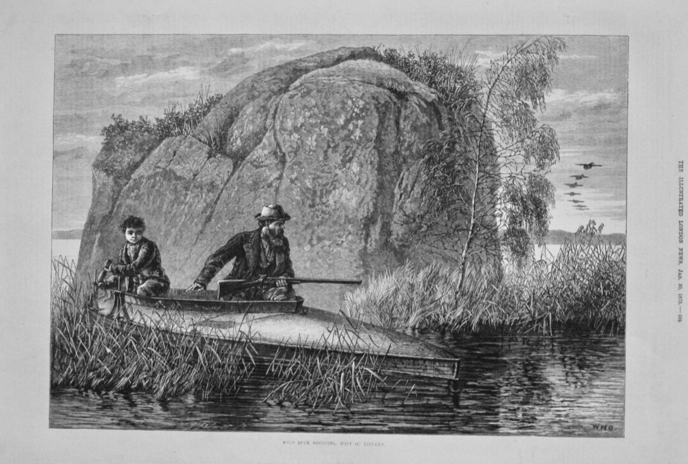 Wild Duck Shooting, West of Ireland. 1875.