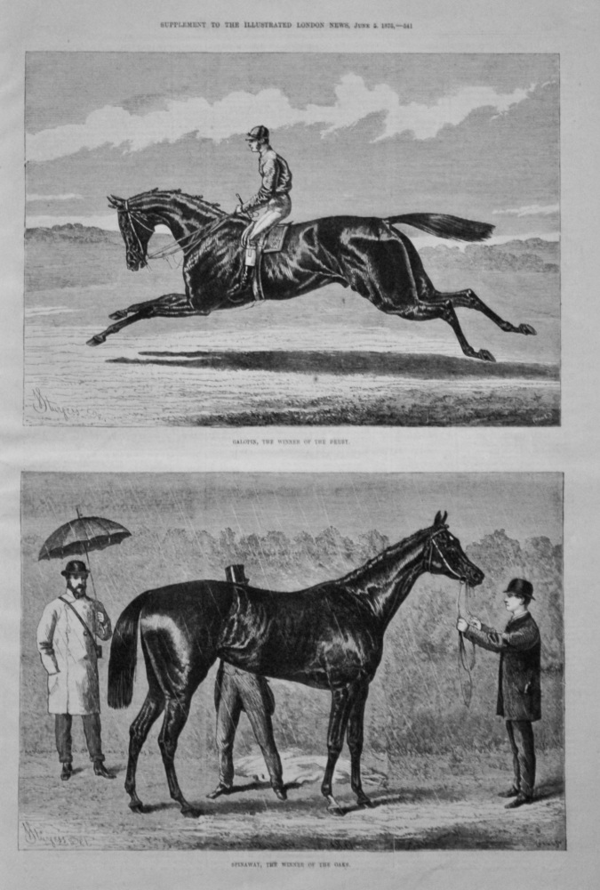 Galopin, the Winner of the Derby.     Spinaway, the Winner of the Oaks. 1875.