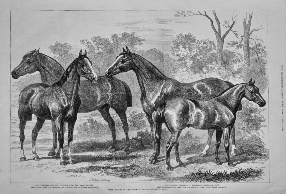 Prize Horses in the Show at the Agricultural Hall. 1875.