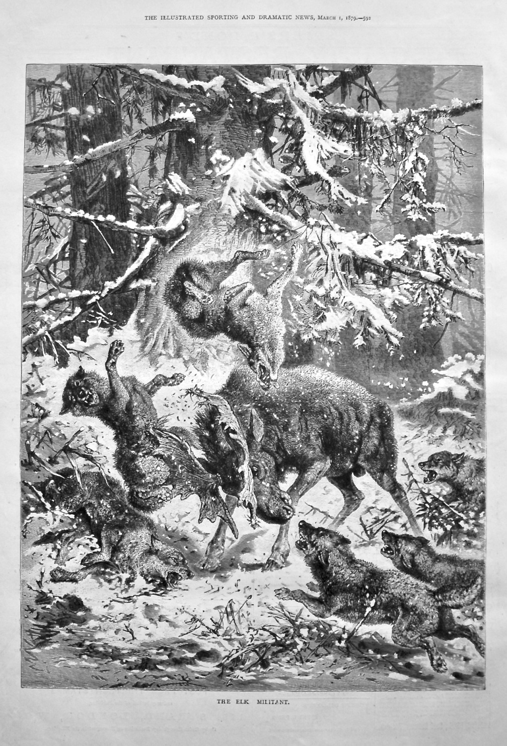 The Elk Militant. 1879.
